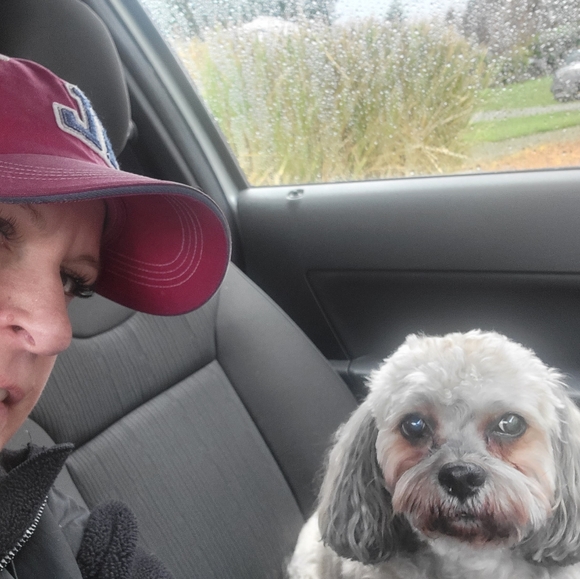 Meet your Posher, Kelly - Picture 3 of 4